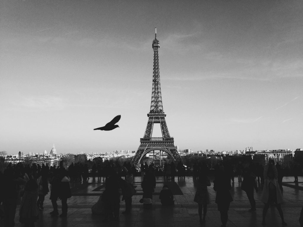 Eiffel tower in black and white